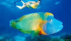 Great-Barrier-Reef-Queensland-300x199.jpg Thumbnail